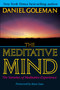 The Meditative Mind (The Varieties of Meditative Experience) by Daniel Goleman, 9780874778335