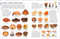 Mushrooms (How to Identify and Gather Wild Mushrooms and Other Fungi) by DK, 9781465408556