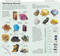 Whats that Rock or Mineral (A Beginner's Guide) by DK, 9781465415929