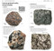 Whats that Rock or Mineral (A Beginner's Guide) by DK, 9781465415929