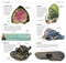 Whats that Rock or Mineral (A Beginner's Guide) by DK, 9781465415929