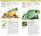 Nature Guide: Snakes and Other Reptiles and Amphibians (The World in Your Hands) by DK, 9781465421036