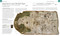 Great Maps (The World's Masterpieces Explored and Explained) by Jerry Brotton, 9781465424631
