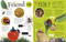 Everything You Need to Know About Bugs by DK, 9781465428943
