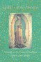 Goddess of the Americas (Writings on the Virgin of Guadalupe) by Ana Castillo, 9781573226301