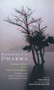 Benedict's Dharma (Buddhists Reflect on the Rule of Saint Benedict) by Patrick Henry, David Steindl-Rast, 9781573229401