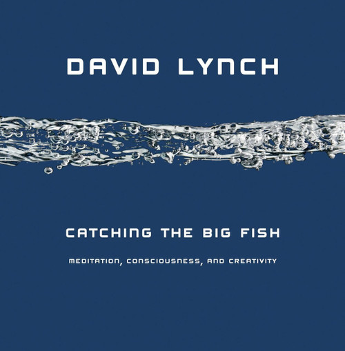 Catching the Big Fish (Meditation, Consciousness, and Creativity) by David Lynch, 9781585425402