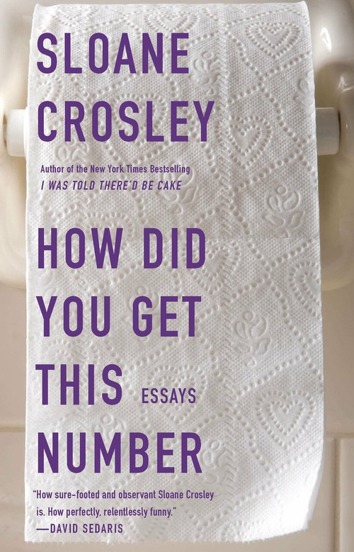 How Did You Get This Number by Sloane Crosley, 9781594485190