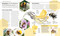 The Bee Book (Discover the Wonder of Bees and How to Protect Them for Generations to Come) by DK, Emma Tennant, Fergus Chadwick, 9781465443830