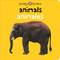 Animals / Animales Bilingual (Bright Baby) (Animales) by Roger Priddy, 9780312502980
