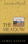The Meadow by James Galvin, 9780805027037