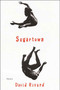 Sugartown (Poems) by David Rivard, 9781555974350