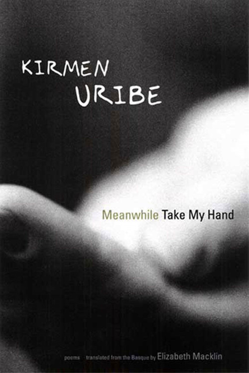 Meanwhile Take My Hand by Kirmen Uribe, Elizabeth Macklin, 9781555974589