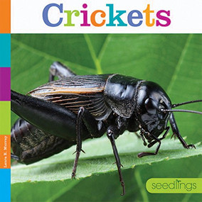 Crickets by Laura K. Murray, 9781628321852