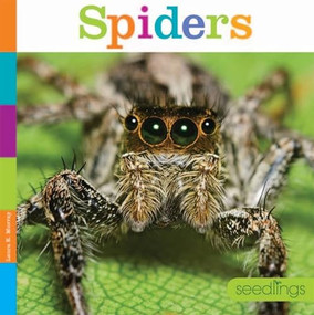 Spiders - 9781628321890 by Laura K. Murray, 9781628321890