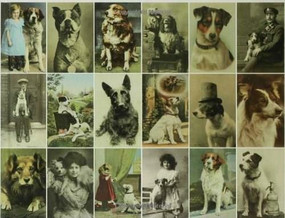Postcard Dogs by Libby Hall, 9781582344690