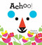 Achoo! by Virginie Morgand, 9781849763769