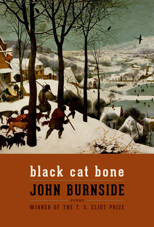 Black Cat Bone (Poems) by John Burnside, 9781555977146