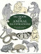 Big Book of Animal Illustrations by Maggie Kate, 9780486404646