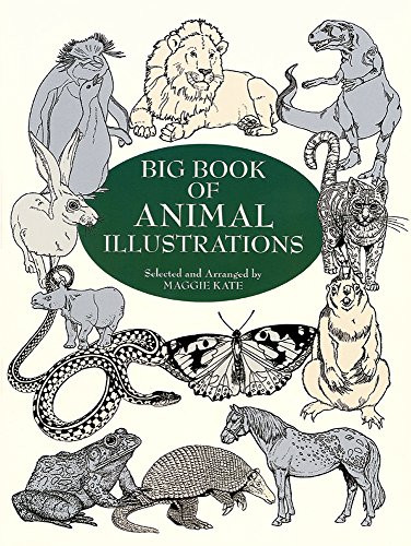Big Book of Animal Illustrations by Maggie Kate, 9780486404646