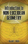 Introduction to Non-Euclidean Geometry by Harold  E. Wolfe, 9780486498508