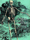 Albinus on Anatomy by Robert Beverly Hale, Terence Coyle, 9780486258362