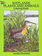Wetlands Plants and Animals Coloring Book by Annika Bernhard, 9780486277493