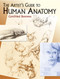 The Artist's Guide to Human Anatomy by Gottfried Bammes, 9780486436418