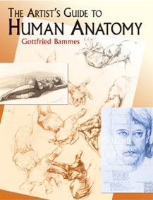 The Artist's Guide to Human Anatomy by Gottfried Bammes, 9780486436418