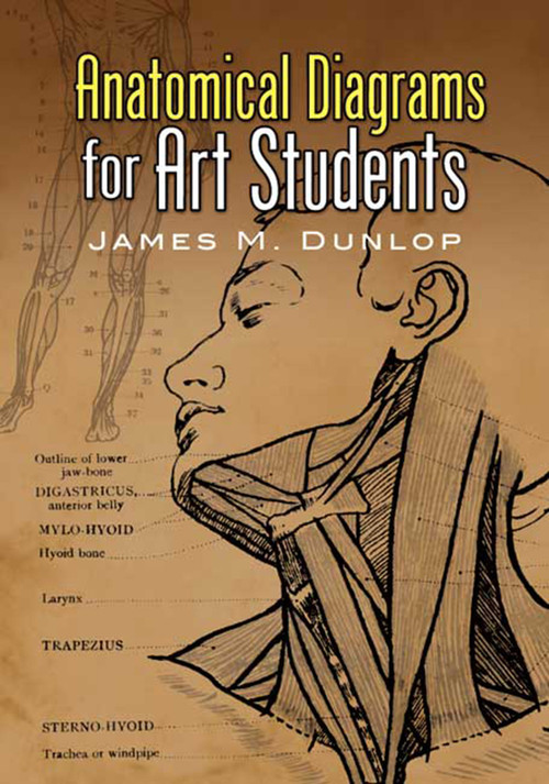 Anatomical Diagrams for Art Students by James M. Dunlop, 9780486457758