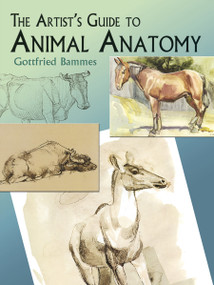 The Artist's Guide to Animal Anatomy by Gottfried Bammes, 9780486436401