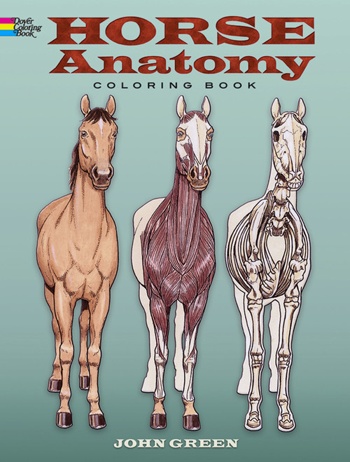 Horse Anatomy Coloring Book by John Green, 9780486448138