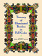 Treasury of Illuminated Borders in Full Color by Carol Belanger Grafton, 9780486256993
