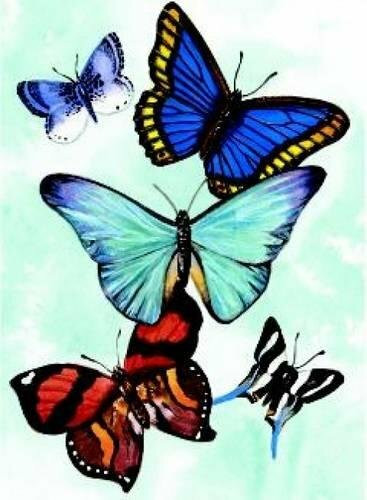 Butterfly Notebook (Miniature Edition) by Sovak, 9780486413013