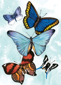 Butterfly Notebook by Sovak, 9780486413013
