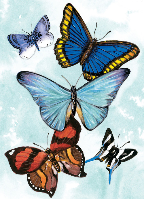 Butterfly Notebook by Sovak, 9780486413013