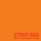 Studio GAIA (Hotel & Restaurant Design) by Studio GAIA, 9780991181254