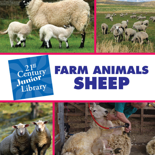 Farm Animals: Sheep by Cecilia Minden, 9781602795440