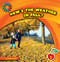 How's the Weather in Fall? by Rebecca Felix, Lauren McCullough, 9781610809023