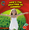 How's the Weather in Summer? by Rebecca Felix, Lauren McCullough, 9781631375965