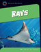 Rays by Susan H. Gray, 9781624315992