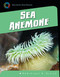 Sea Anemone by Dominique A. Didier, 9781631880223