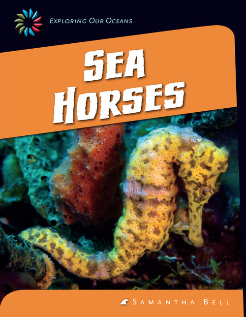 Sea Horses - 9781624316043 by Samantha Bell, 9781624316043
