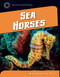 Sea Horses - 9781624316043 by Samantha Bell, 9781624316043