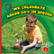 We Celebrate Arbor Day in Spring - 9781624316838 by Jenna Lee Gleisner, 9781624316838