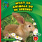 What Do Animals Do in Spring? by Jenna Lee Gleisner, Lauren McCullough, 9781624316609