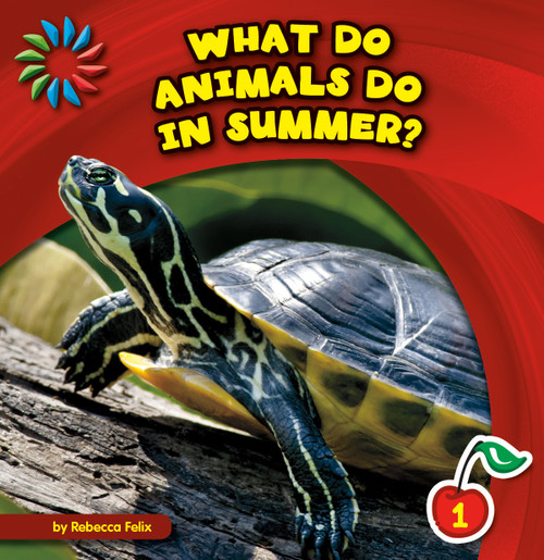 What Do Animals Do in Summer? - 9781631376450 by Rebecca Felix, Lauren McCullough, 9781631376450