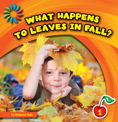 What Happens to Leaves in Fall? by Rebecca Felix, Lauren McCullough, 9781610809092