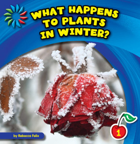 What Happens to Plants in Winter? by Rebecca Felix, Lauren McCullough, 9781631376085