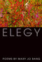 Elegy (Poems) - 9781555975401 by Mary Jo Bang, 9781555975401